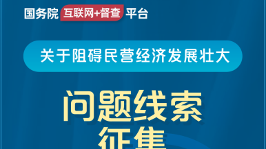 插美女下面国务院“互联网+督查”平台公开征集阻碍民营经济发展壮大问题线索